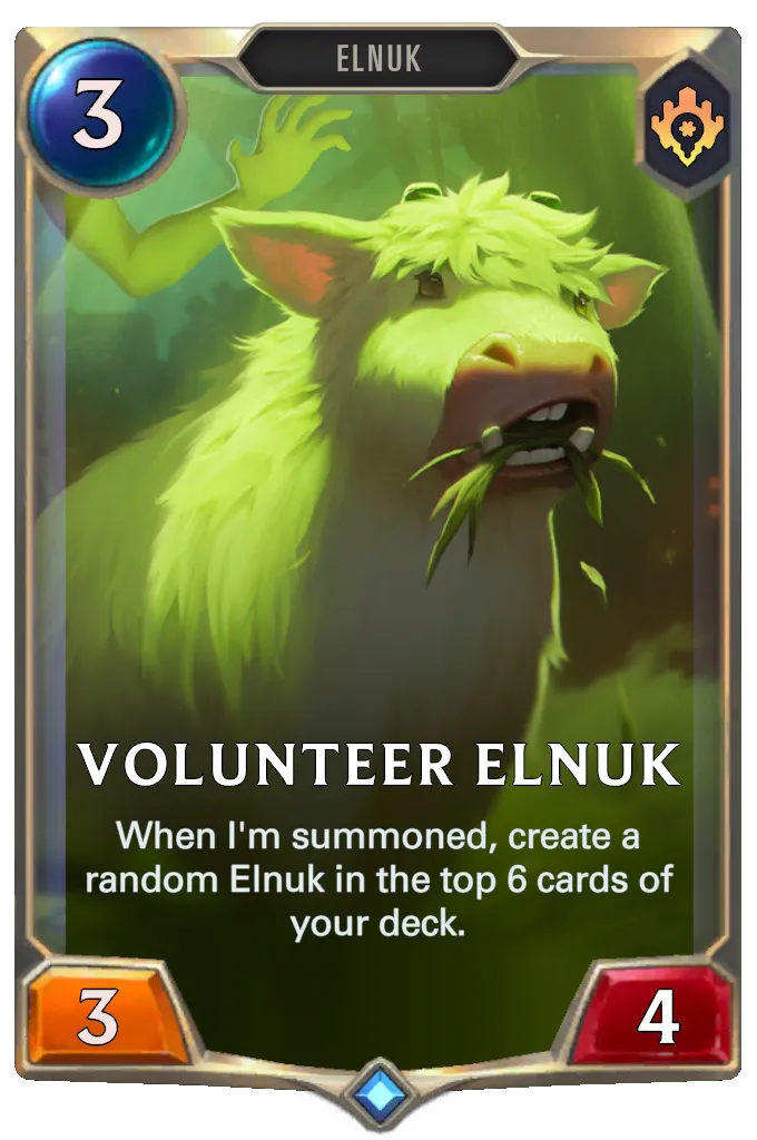 Volunteer Elnuk
